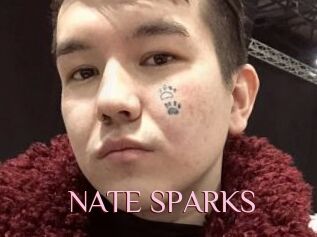 NATE_SPARKS