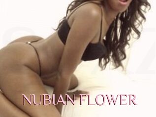 NUBIAN_FLOWER