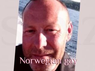 Norwegian_gay