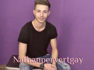 Nathanpervertgay