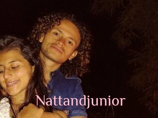 Nattandjunior