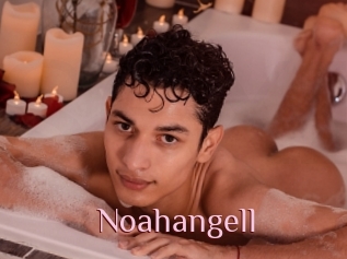 Noahangell