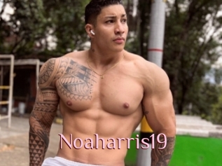 Noaharris19