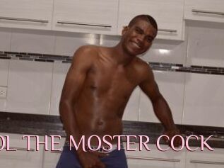 POOL_THE_MOSTER_COCK