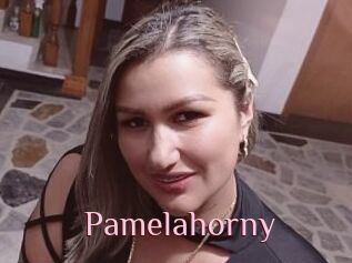 Pamelahorny