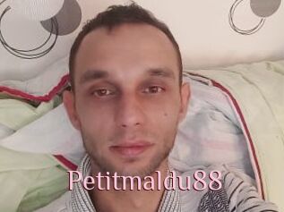 Petitmaldu88