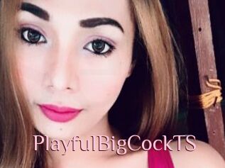 PlayfulBigCockTS