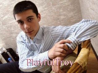 PlayfulTroy