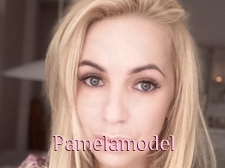 Pamelamodel