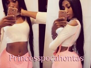 Princesspocahontas