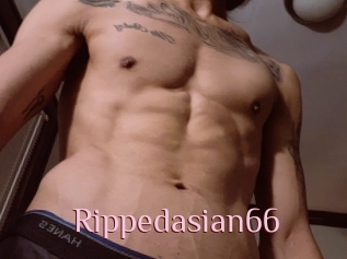 Rippedasian66