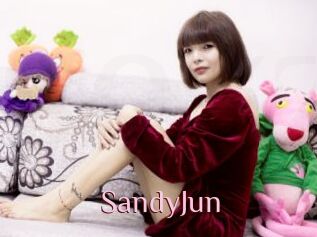 SandyJun