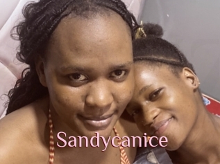 Sandycanice