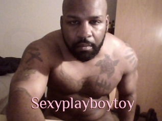 Sexyplayboytoy