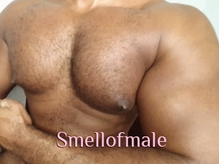 Smellofmale