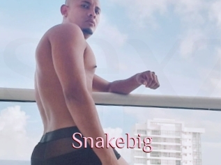 Snakebig