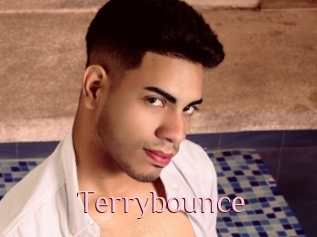 Terrybounce