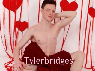 Tylerbridges