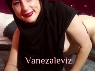 Vanezaleviz