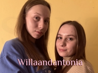 Willaandantonia