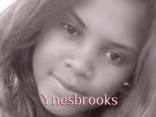 Ynesbrooks